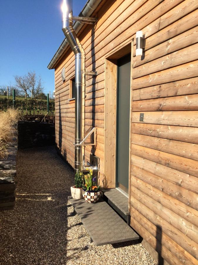 Wadern Bio-Ferienhaus Newergarten מראה חיצוני תמונה
